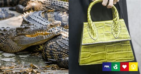 crocodile skin bag cruelty